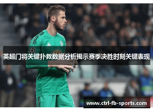 英超门将关键扑救数据分析揭示赛季决胜时刻关键表现